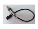 Oxygen Sensor（O<sub>2</sub> sensors）