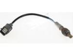 Oxygen Sensor（O<sub>2</sub> sensors）