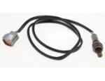 Oxygen Sensor（O<sub>2</sub> sensors）