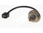 Oxygen Sensor（O<sub>2</sub> sensors）