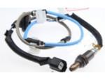 Oxygen Sensor（O<sub>2</sub> sensors）