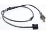 Oxygen Sensor（O<sub>2</sub> sensors）