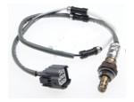 Oxygen Sensor（O<sub>2</sub> sensors）