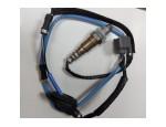 Oxygen Sensor（O<sub>2</sub> sensors）