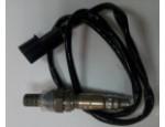 Oxygen Sensor（O<sub>2</sub> sensors）