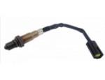 Oxygen Sensor（O<sub>2</sub> sensors）