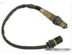 Oxygen Sensor（O<sub>2</sub> sensors）