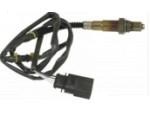 Oxygen Sensor（O<sub>2</sub> sensors）
