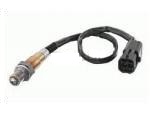 Oxygen Sensor（O<sub>2</sub> sensors）