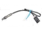 Oxygen Sensor（O<sub>2</sub> sensors）