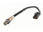 Oxygen Sensor（O<sub>2</sub> sensors）