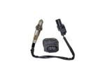 Oxygen Sensor（O<sub>2</sub> sensors）