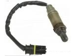 Oxygen Sensor（O<sub>2</sub> sensors）