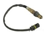 Oxygen Sensor（O<sub>2</sub> sensors）