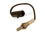Oxygen Sensor（O<sub>2</sub> sensors）