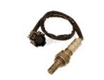 Oxygen Sensor（O<sub>2</sub> sensors）