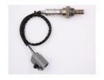Oxygen Sensor（O<sub>2</sub> sensors）