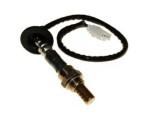 Oxygen Sensor（O<sub>2</sub> sensors）
