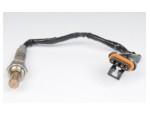 Oxygen Sensor（O<sub>2</sub> sensors）