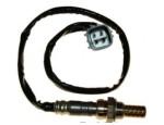 Oxygen Sensor（O<sub>2</sub> sensors）