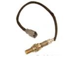 Oxygen Sensor（O<sub>2</sub> sensors）