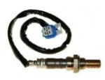Oxygen Sensor（O<sub>2</sub> sensors）