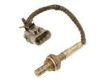 Oxygen Sensor（O<sub>2</sub> sensors）