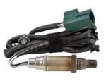 Oxygen Sensor（O<sub>2</sub> sensors）