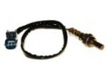 Oxygen Sensor（O<sub>2</sub> sensors）