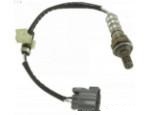 Oxygen Sensor（O<sub>2</sub> sensors）