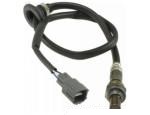 Oxygen Sensor（O<sub>2</sub> sensors）