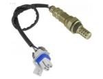 Oxygen Sensor（O<sub>2</sub> sensors）