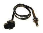 Oxygen Sensor（O<sub>2</sub> sensors）