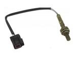 Oxygen Sensor（O<sub>2</sub> sensors）