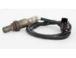 Oxygen Sensor（O<sub>2</sub> sensors）