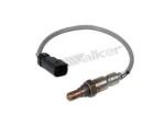 Oxygen Sensor（O<sub>2</sub> sensors）