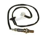 Oxygen Sensor（O<sub>2</sub> sensors）