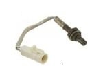 Oxygen Sensor（O<sub>2</sub> sensors）
