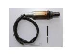 Oxygen Sensor（O<sub>2</sub> sensors）