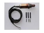 Oxygen Sensor（O<sub>2</sub> sensors）
