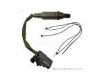 Oxygen Sensor（O<sub>2</sub> sensors）
