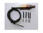 Oxygen Sensor（O<sub>2</sub> sensors）