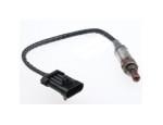Oxygen Sensor（O<sub>2</sub> sensors）