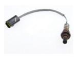 Oxygen Sensor（O<sub>2</sub> sensors）