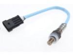 Oxygen Sensor（O<sub>2</sub> sensors）