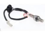 Oxygen Sensor（O<sub>2</sub> sensors）