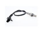 Oxygen Sensor（O<sub>2</sub> sensors）