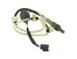 Oxygen Sensor（O<sub>2</sub> sensors）