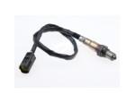 Oxygen Sensor（O<sub>2</sub> sensors）