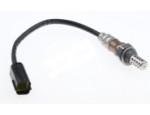 Oxygen Sensor（O<sub>2</sub> sensors）